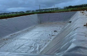 bạt hdpe
