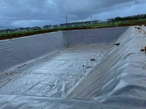 bạt hdpe