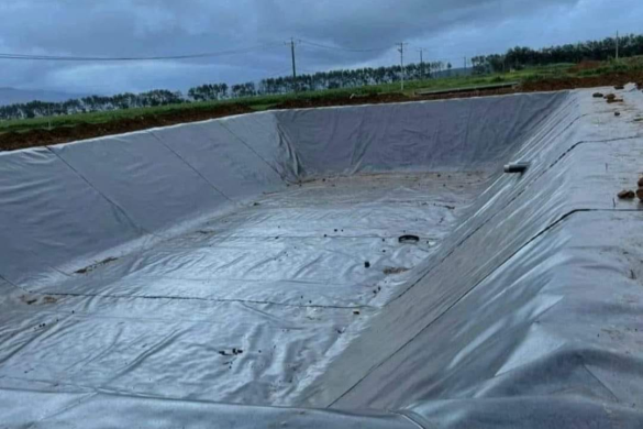 bạt hdpe