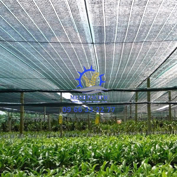 Lưới Lan Che Nắng