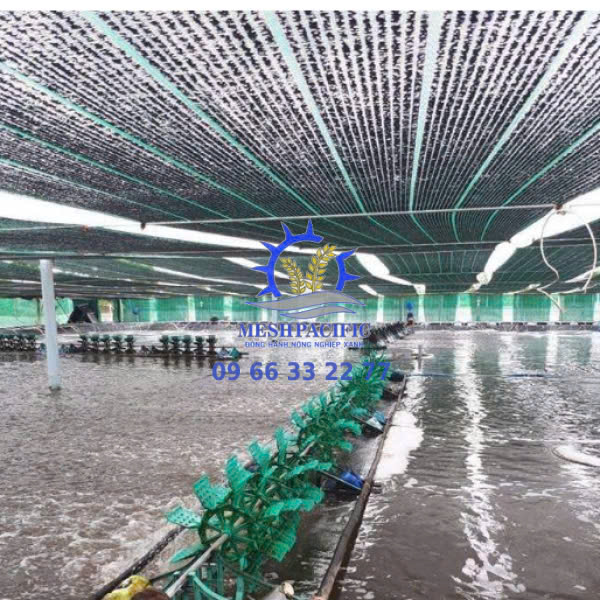 Lưới Che Nắng Xanh Đen