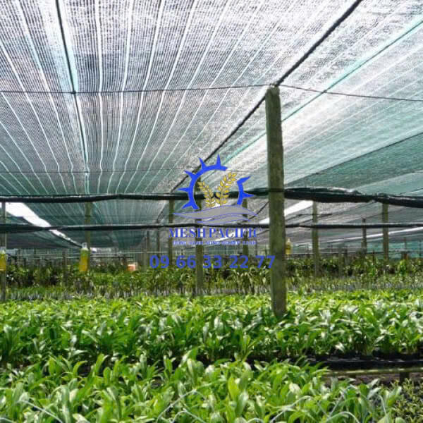 Lưới che nắng