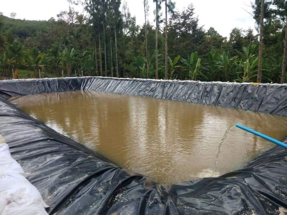 Bạt Nhựa HDPE - Giải Pháp Chống Thấm Hiệu Quả Của Meshpacific