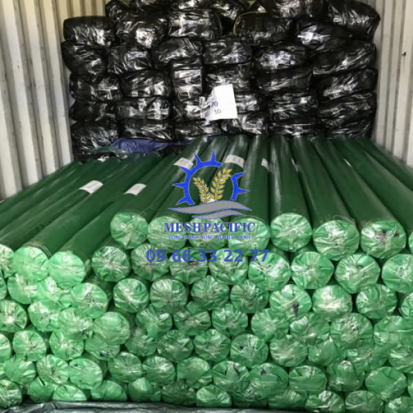  Bạt Xanh Xanh, Bạt Đen Đen, Bạt Xám Đen