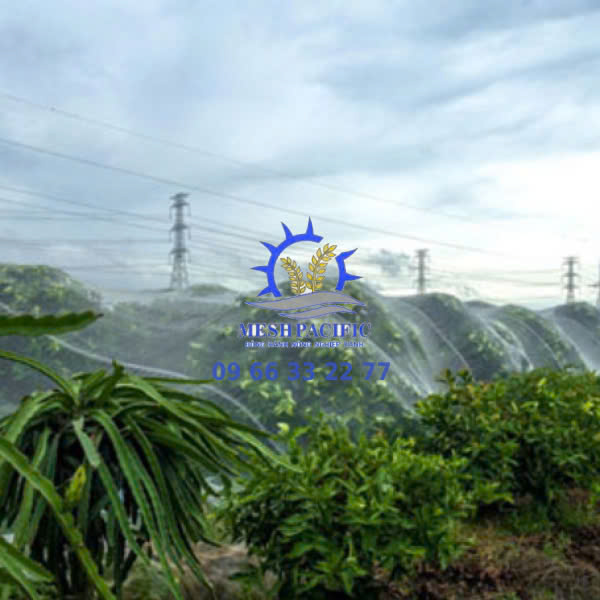 Lưới Chắn Ruồi Vàng