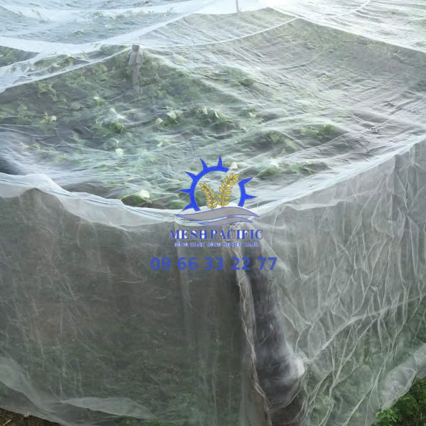 Lưới mùng trùm cây ăn trái
