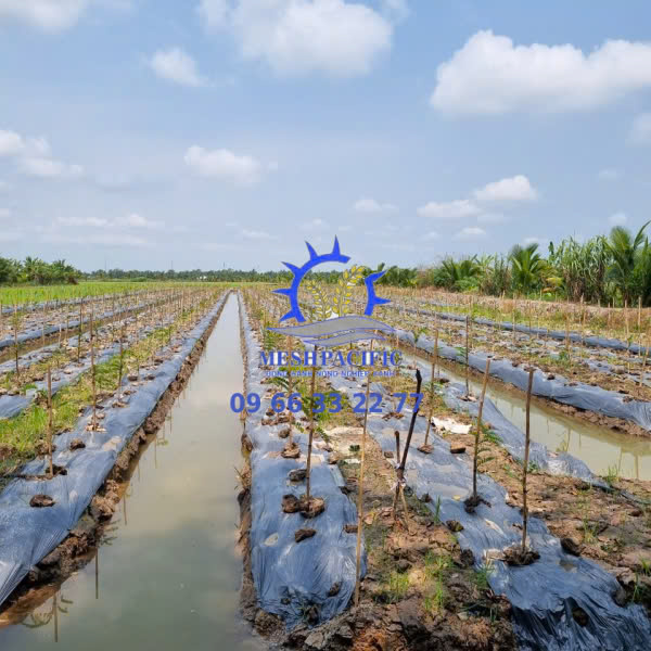 Màng Phủ Nông Nghiệp Khổ 1m x 400m
