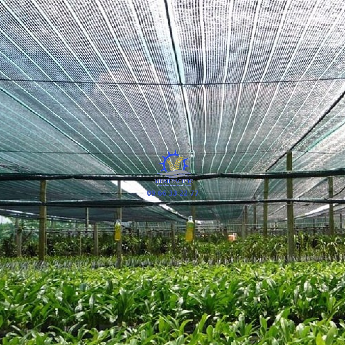 Lưới Chống Nắng - Giá Rẻ, Chất Lượng Cao | Mesh Pacific