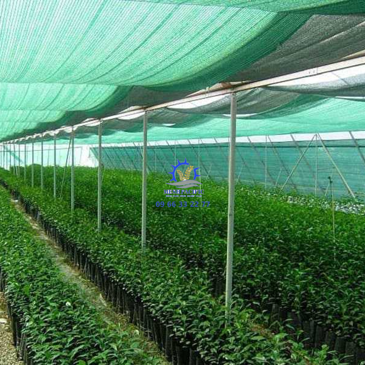 Lưới Lan HDPE - Giải Pháp Bảo Vệ Hoa Lan Hiệu Quả | Mesh Pacific