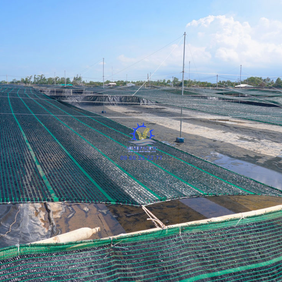 TẠI SAO PHẢI SỬ DỤNG LƯỚI CHE NẮNG