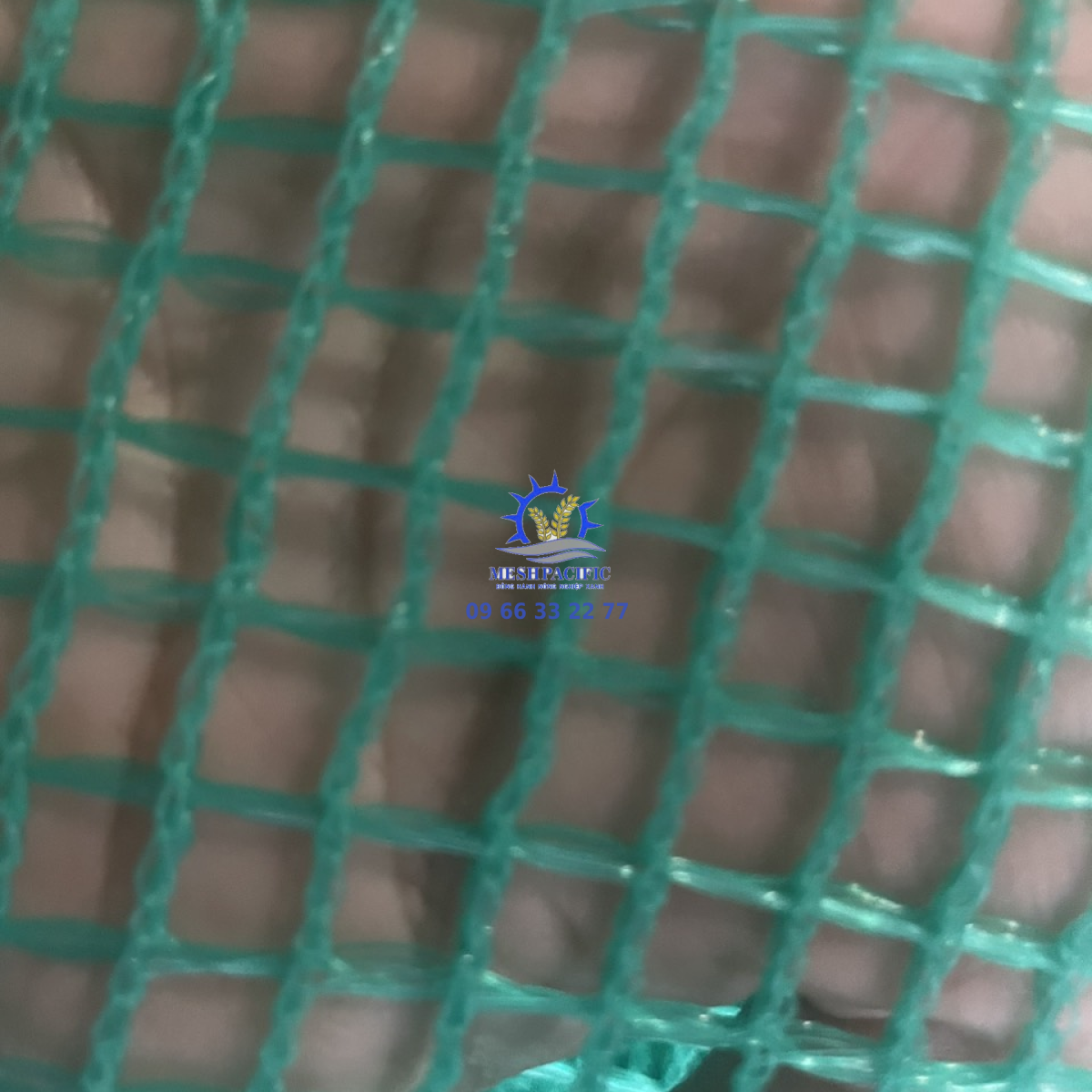  Lưới Oli Xanh Ngọc