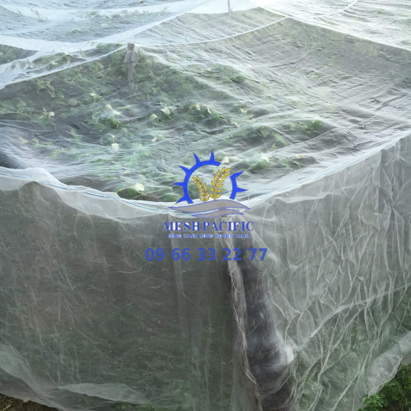 Lưới mùng trùm cây ăn trái