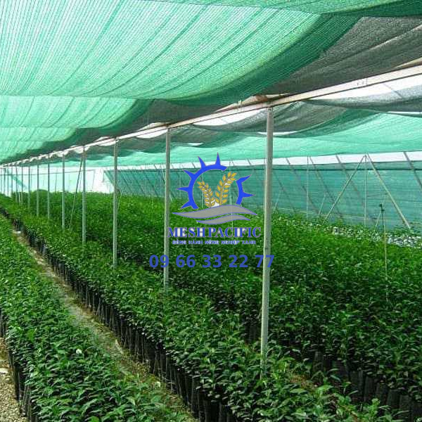 Lưới Lan HDPE - Giải Pháp Bảo Vệ Hoa Lan Hiệu Quả | Mesh Pacific