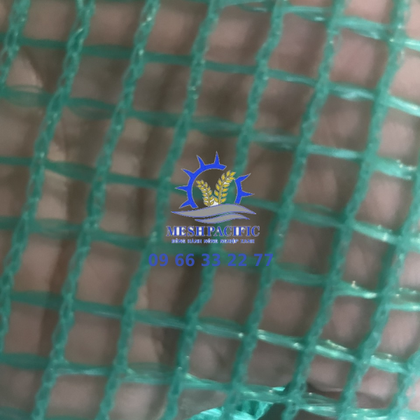  Lưới Oli Xanh Ngọc