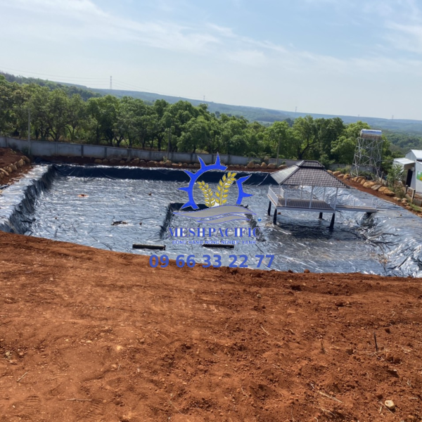 Màng Chống Thấm HDPE
